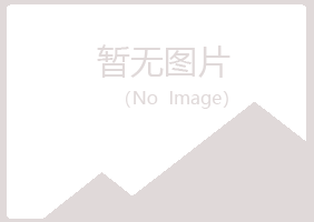 兴平字迹化学有限公司